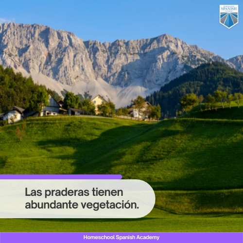 biomes in Spanish