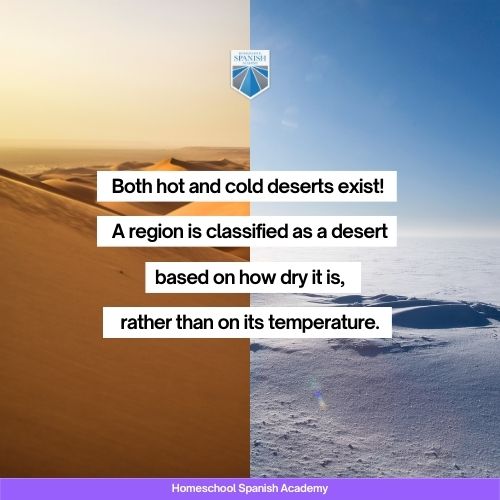 desert animals