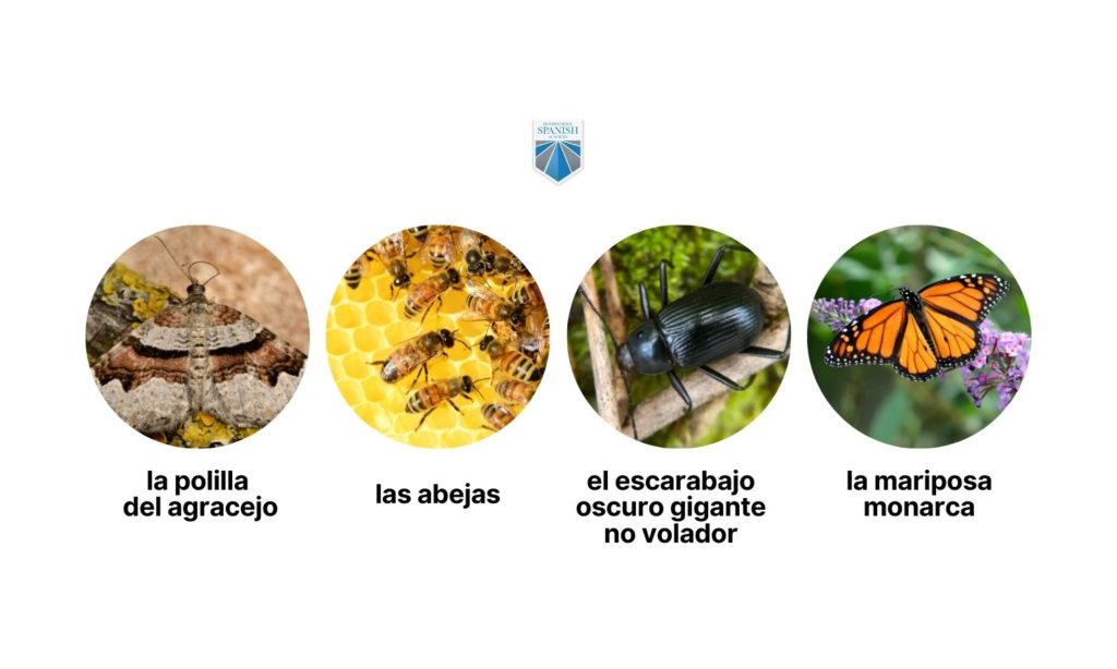 endangered species for kids