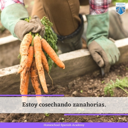 garden in Spanish