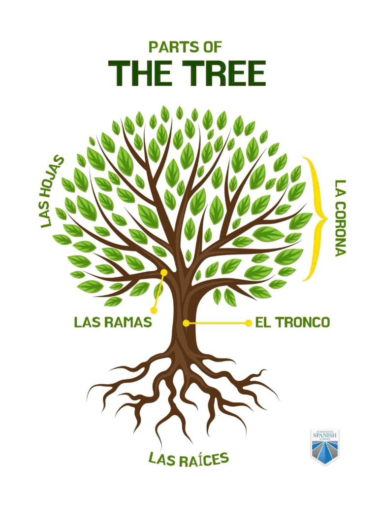 trees in Spanish