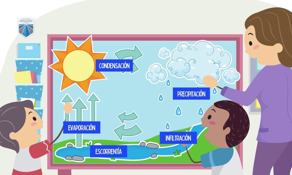 water cycle in Spanish