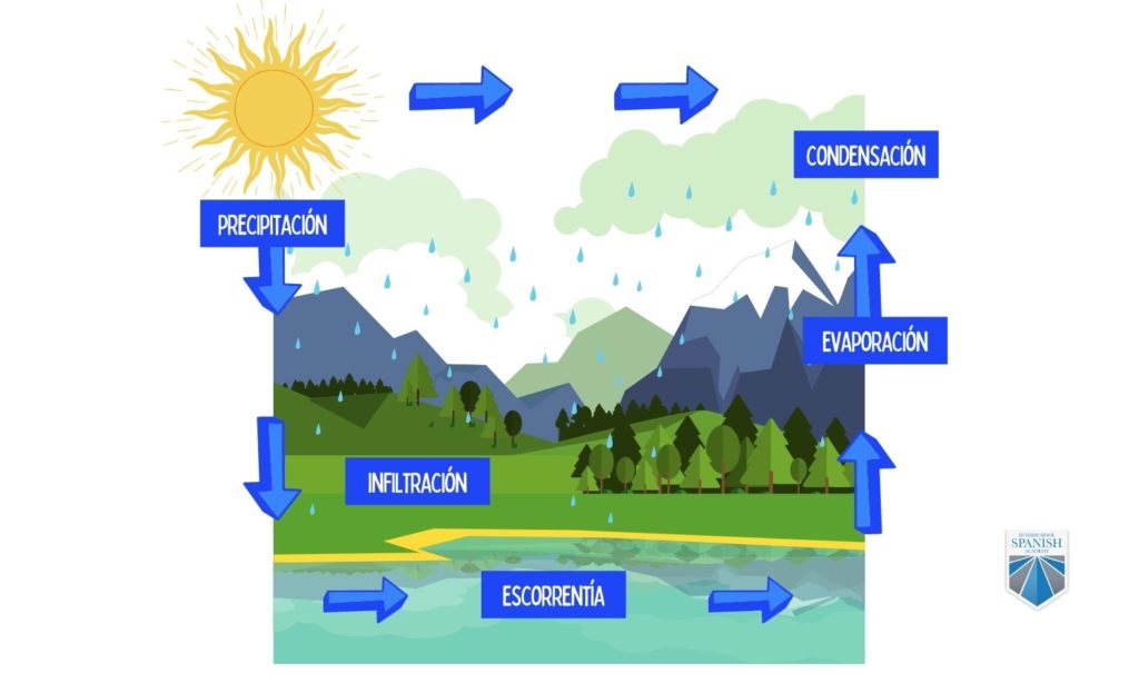 water cycle in Spanish