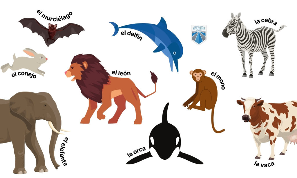 vertebrate animals