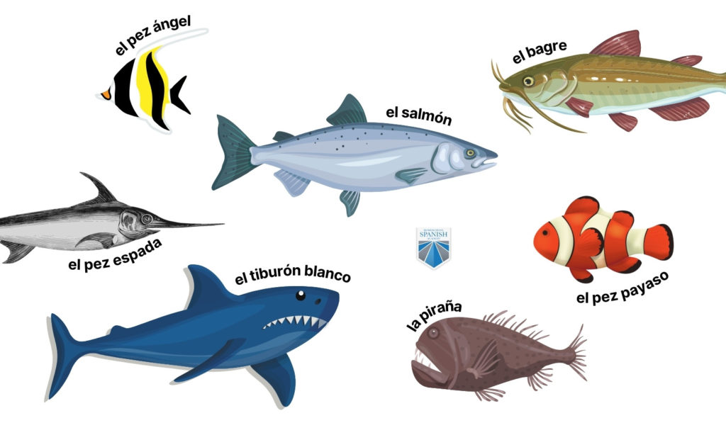 vertebrate animals