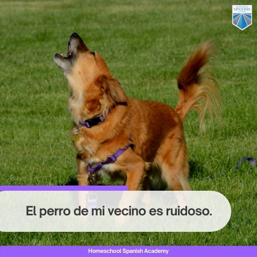 neighborhood in Spanish