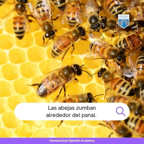 Las abejas zumban alrededor del panal.