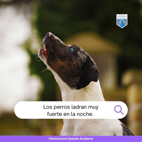 animal Sounds in Spanish example image