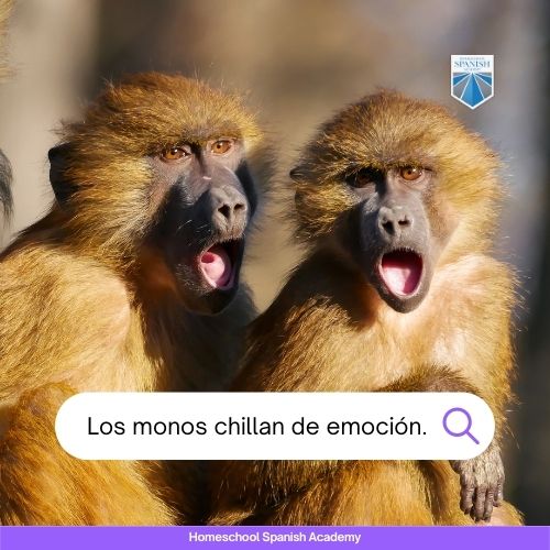 animal Sounds in Spanish image example
