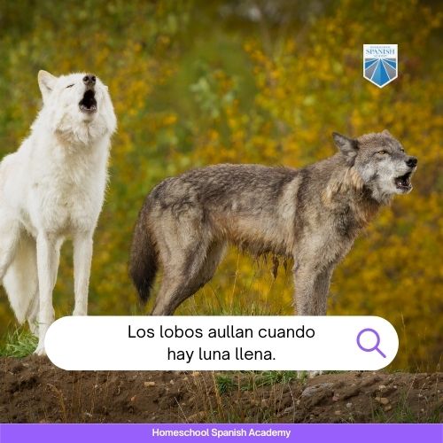animal Sounds in Spanish example image