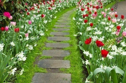 garden in Spanish