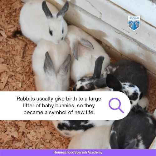 Rabbits usually give birth to a large litter of baby bunnies, so they became a symbol of new life.