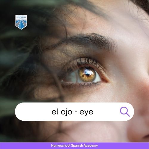 el ojo - the eye image example