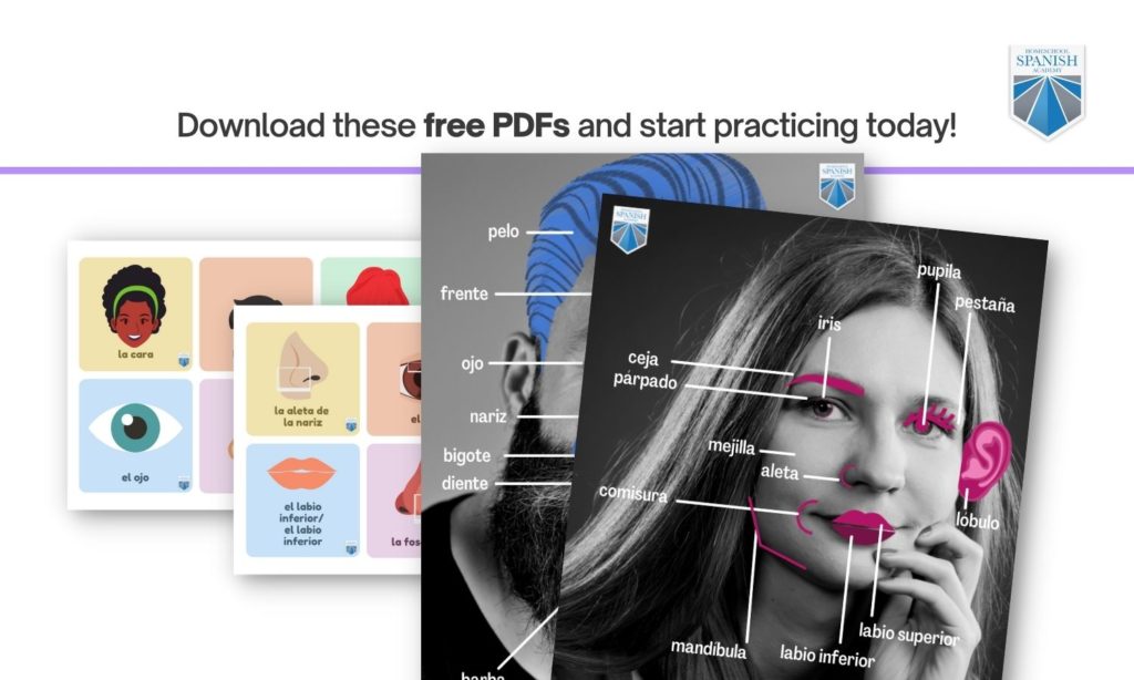 Parts of the face in Spanish download preview