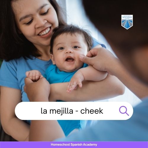la mejilla - cheek example image