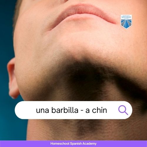 una barbilla